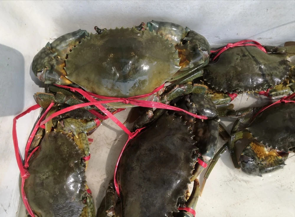 thị trường trung quốc