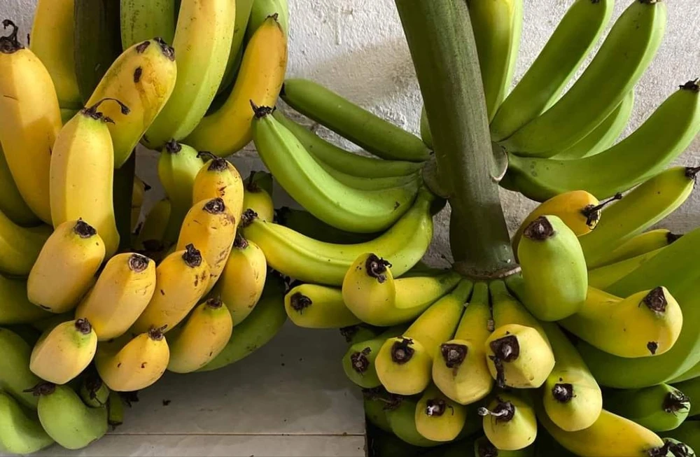 bệnh tiểu đường