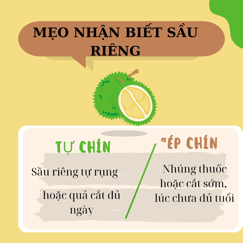 chọn sầu riêng