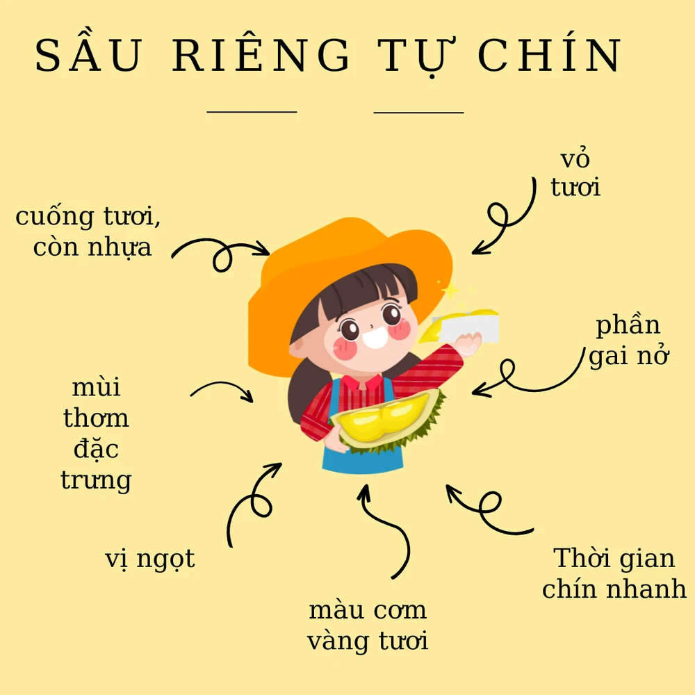 chọn sầu riêng