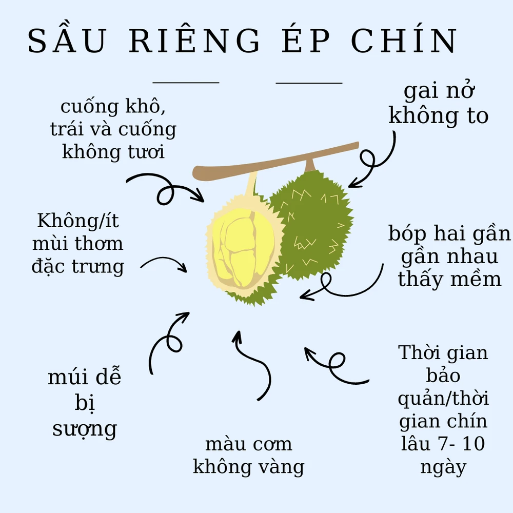 chọn sầu riêng