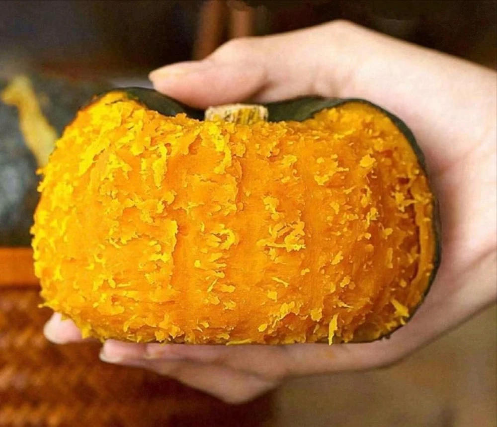 bí đỏ hạt dẻ