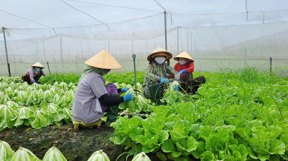 HÀNG HÓA TĂNG GIÁ