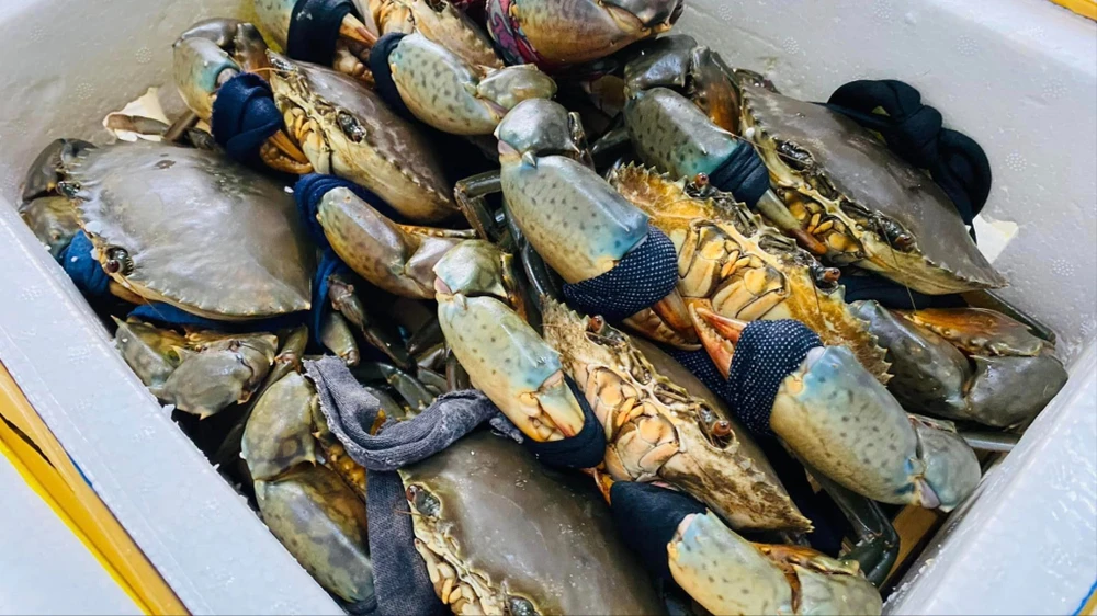 xuất khẩu thủy sản