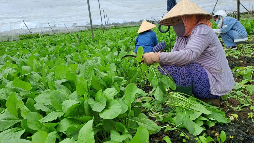 cơ thể đang thiếu chất