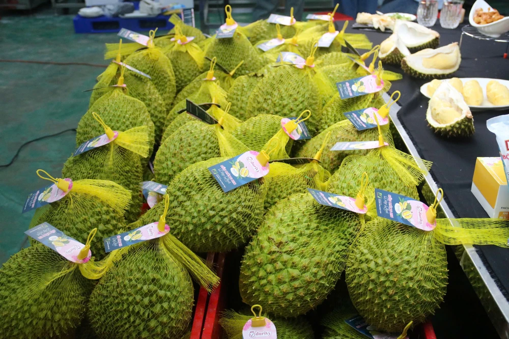 sầu riêng đông lạnh