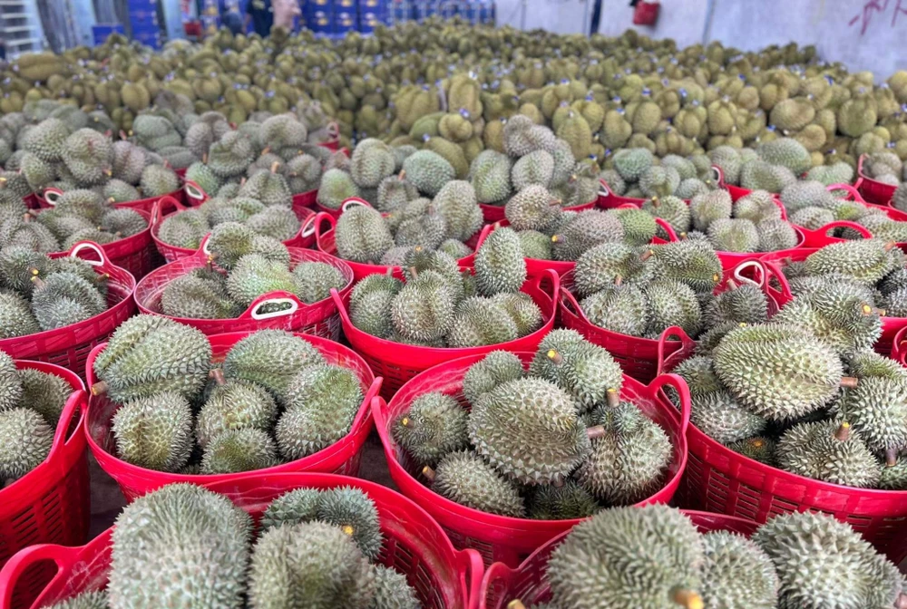 XUẤT KHẨU RAU QUẢ