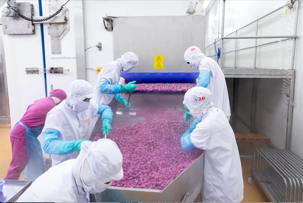 trái cây sấy khô