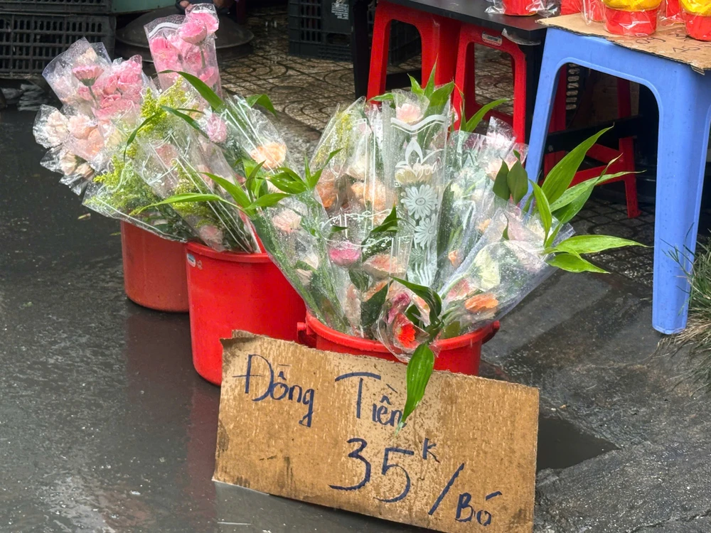 HOA-DONG-TIEN_VIA.jpg