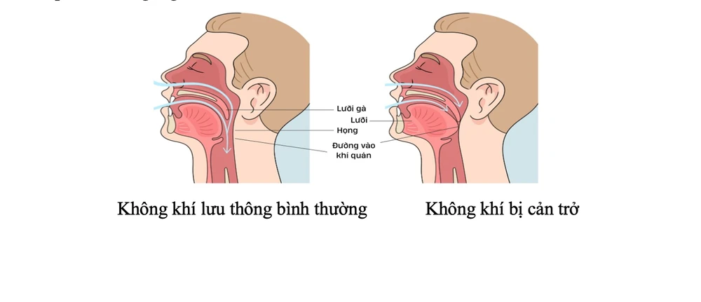 Screen Shot 2026-03-12 at 12.14.53.png