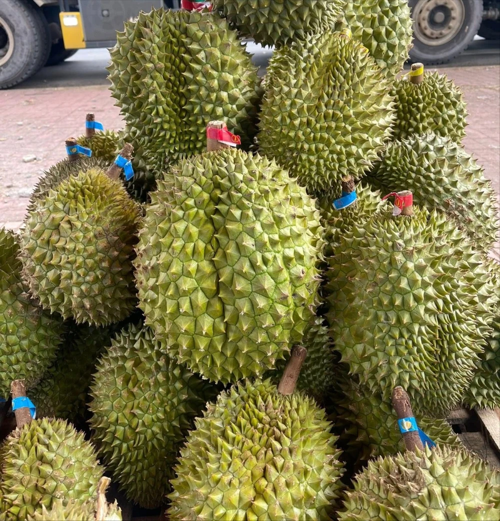 gia-sau-rieng.jpg