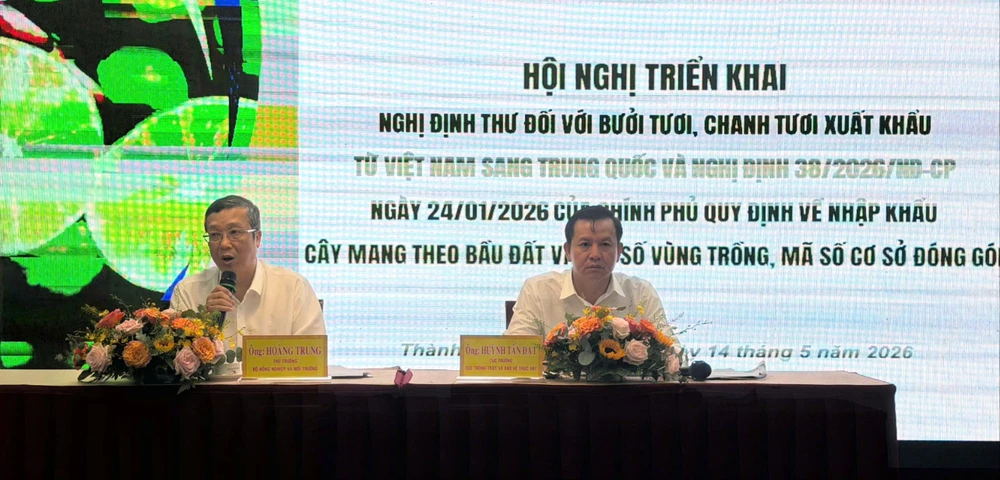 ma-so-vung-trong.jpg