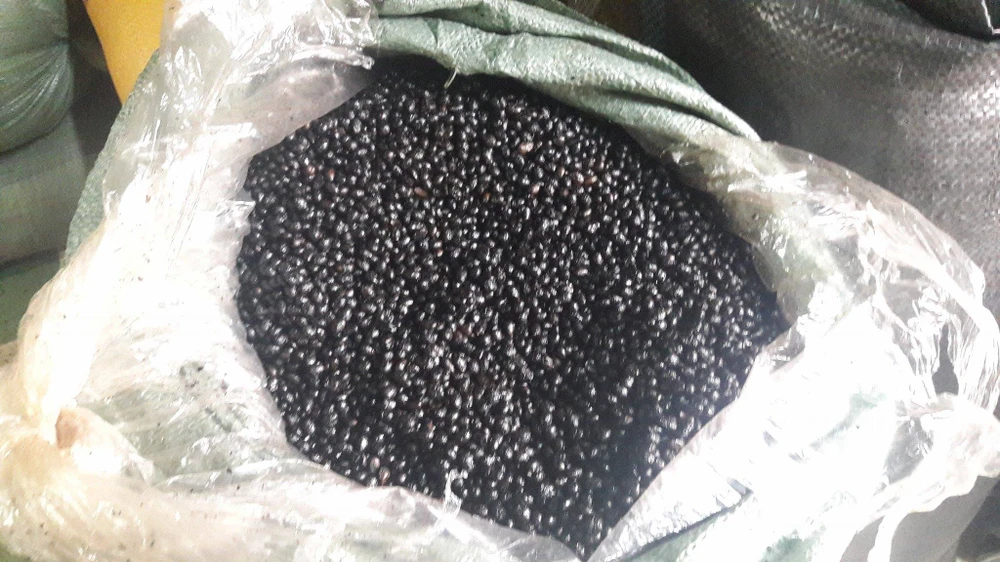 Bắt điểm chế biến cà phê và khô cá sử dụng phụ gia ảnh 2