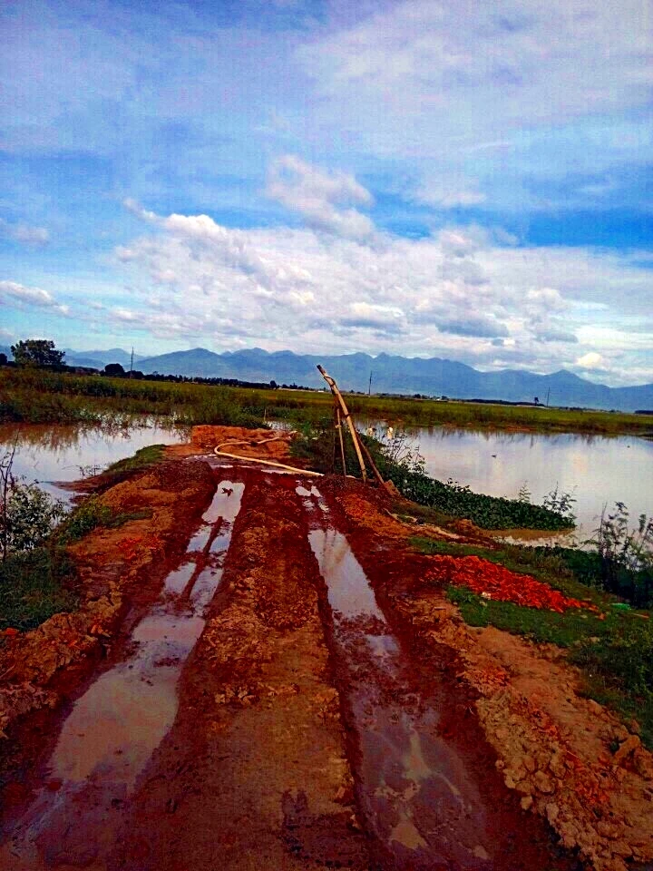 Bắt giam giám đốc tấn công phó chủ tịch xã ảnh 1