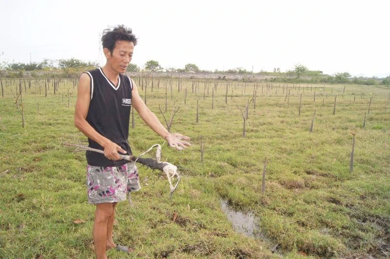 Kiểm tra các giếng nước gần bãi xỉ Vĩnh Tân ảnh 1