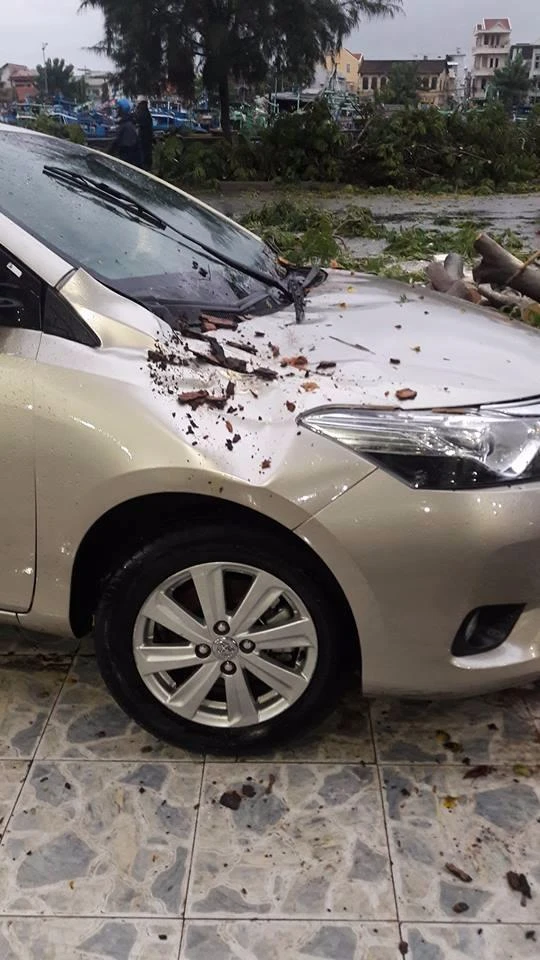 Mưa lớn, cây bật gốc đè ô tô 4 chỗ ảnh 2