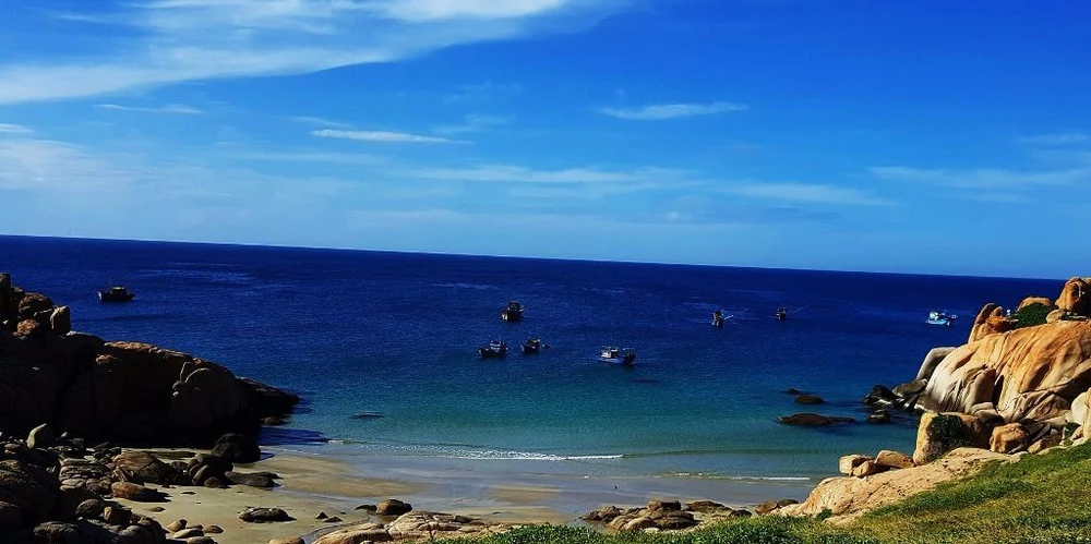 Cấp phép đổ 1 triệu m3 bùn thải xuống biển Vĩnh Tân ảnh 2