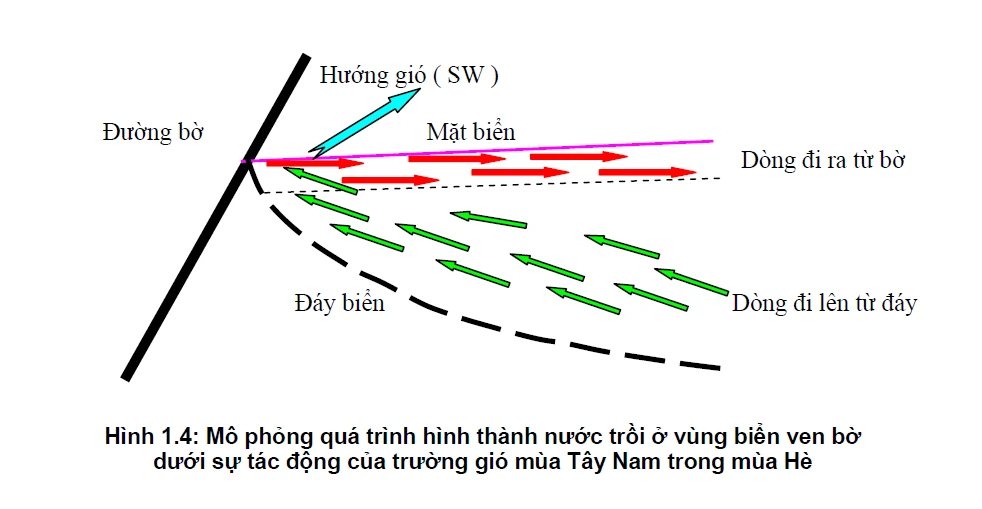 8 nhà khoa học Viện Hàn lâm đến Vĩnh Tân khảo sát ảnh 1