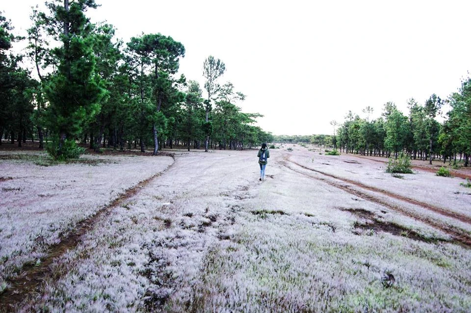 Chủ đầu tư sân golf Đắk Đoa hoạt động thua lỗ ảnh 1