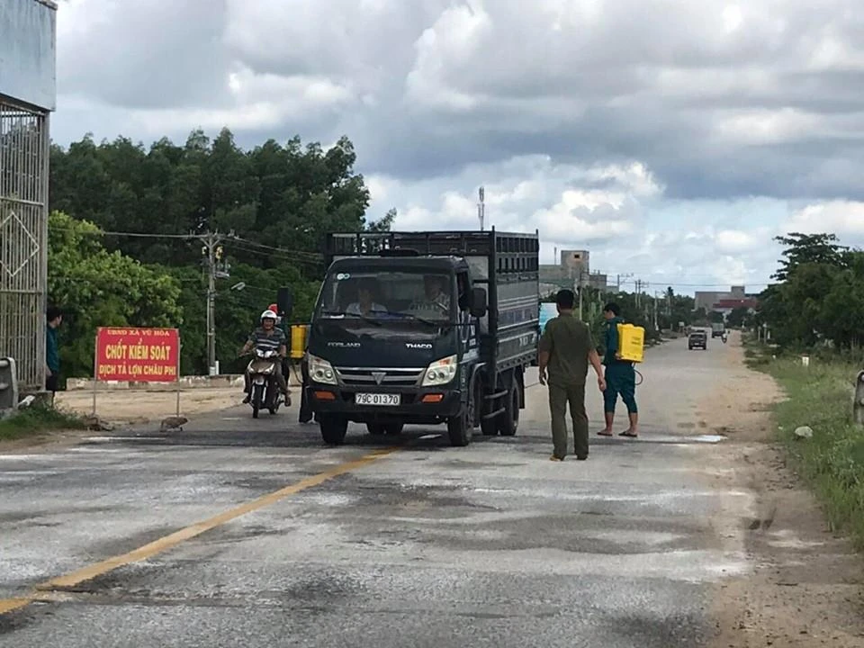 Bình Thuận xuất hiện hai ổ dịch tả heo châu Phi ảnh 4