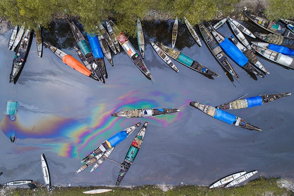 Ngắm loạt ảnh đoạt giải cuộc thi ảnh di sản Việt Nam 2019 ảnh 9