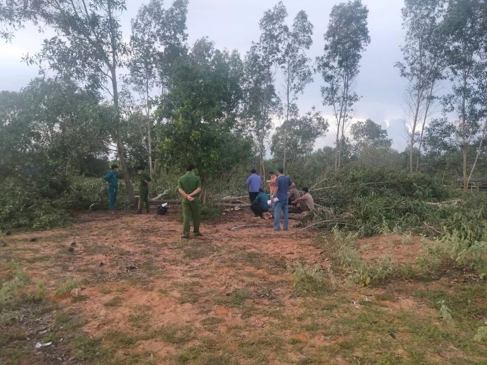 Hiện trường vụ việc. Ảnh PĐ.