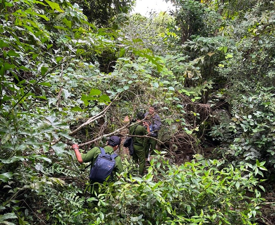 Cả trăm người tìm kiếm nhưng đến thời điểm này vẫn chưa phát hiện người phụ nữ. Ảnh TA.
