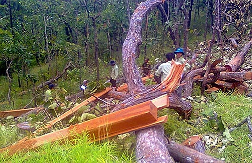 kiem-lam-binh-thuan-nghi-viec