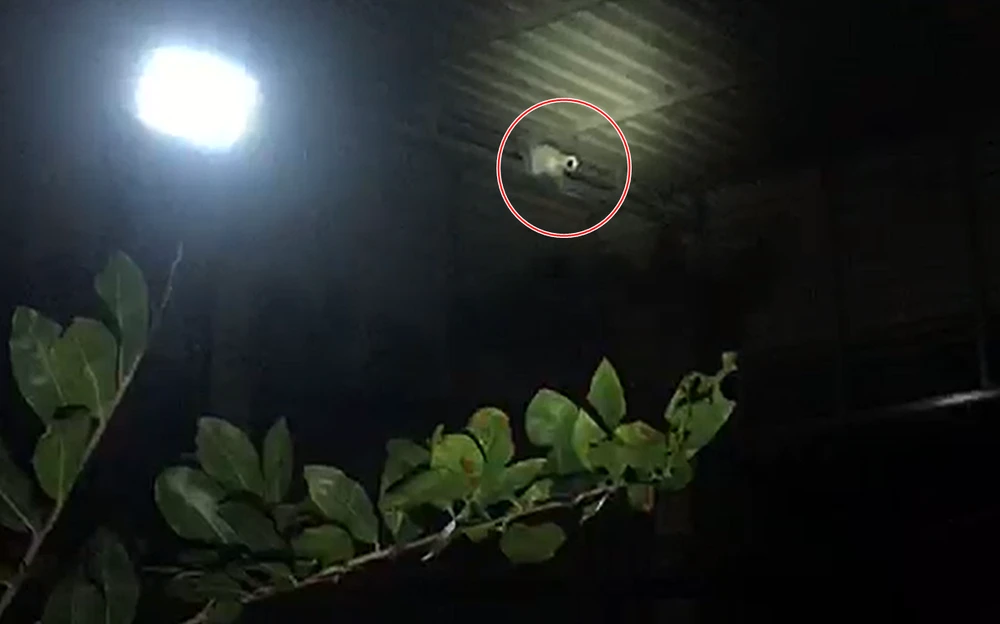 Camera lắp đặt khắp nơi cài cảnh báo tiếng động của những kẻ điều hành đường dây.