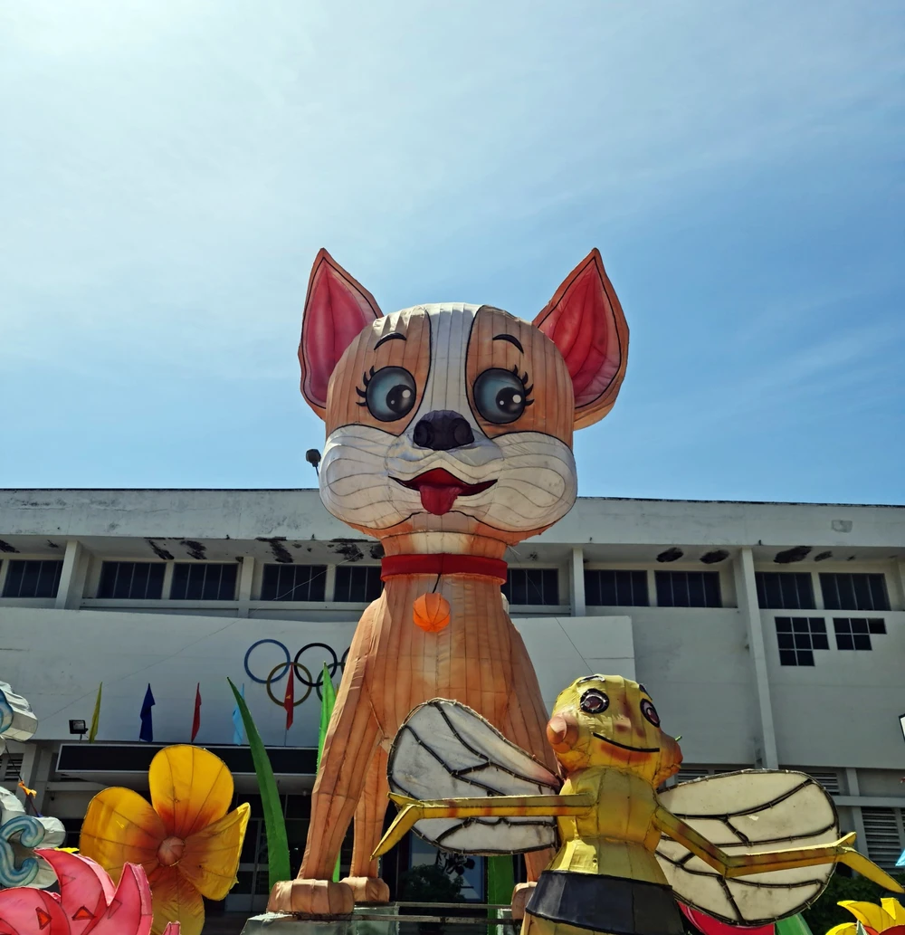 Mèo hoạt hình, lúc đầu dân mạng tưởng nhầm là mèo Bình Thuận.