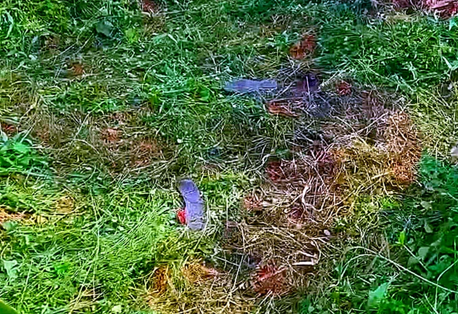 Hiện trường vụ việc. Ảnh: PP