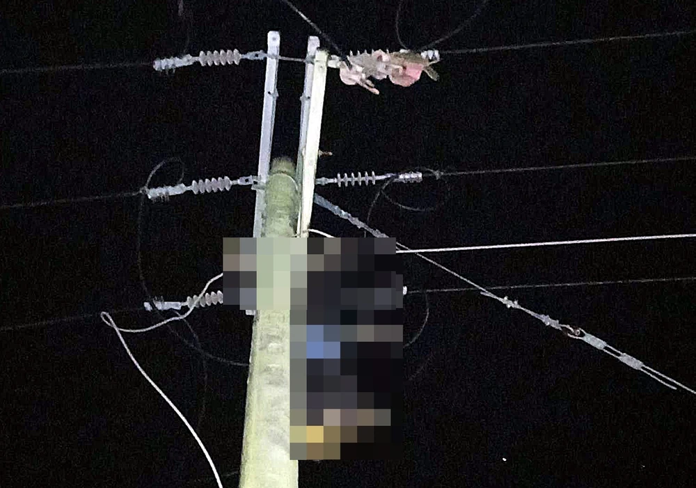 Chồng tử vong trên cột điện, vợ đến công an tự thú