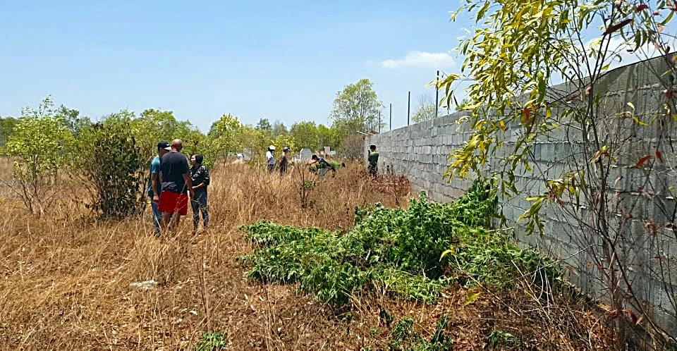 Trong-Can-Sa (4).jpg