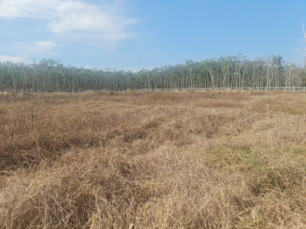 tram-dung-nghi (3).jpg