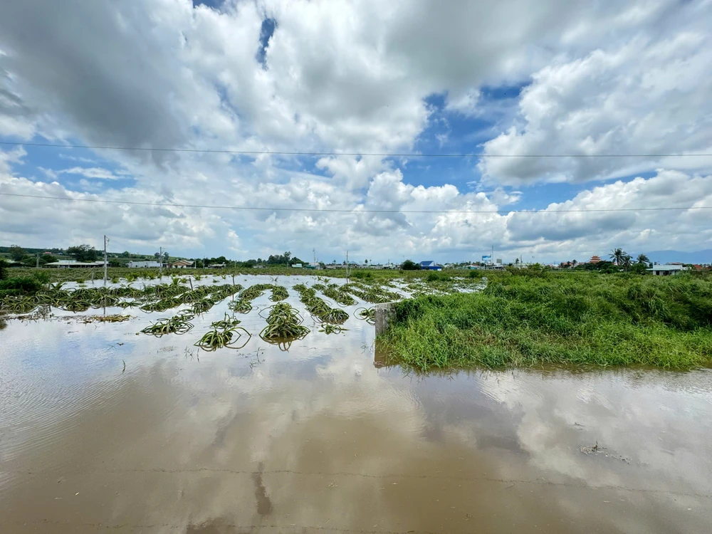 mưa lớn kéo dài