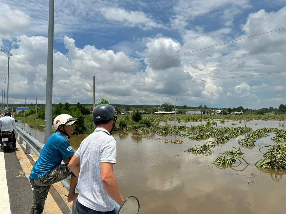 mua-lon-keo-dai (3).jpg