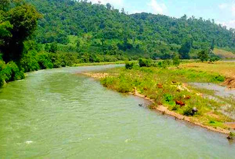 đất lâm nghiệp