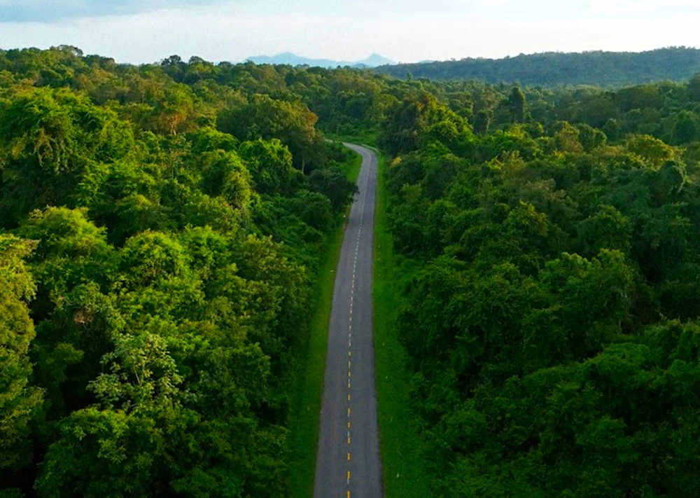 dat-lam-nghiep (2).jpg