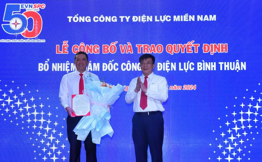 công ty điện lực