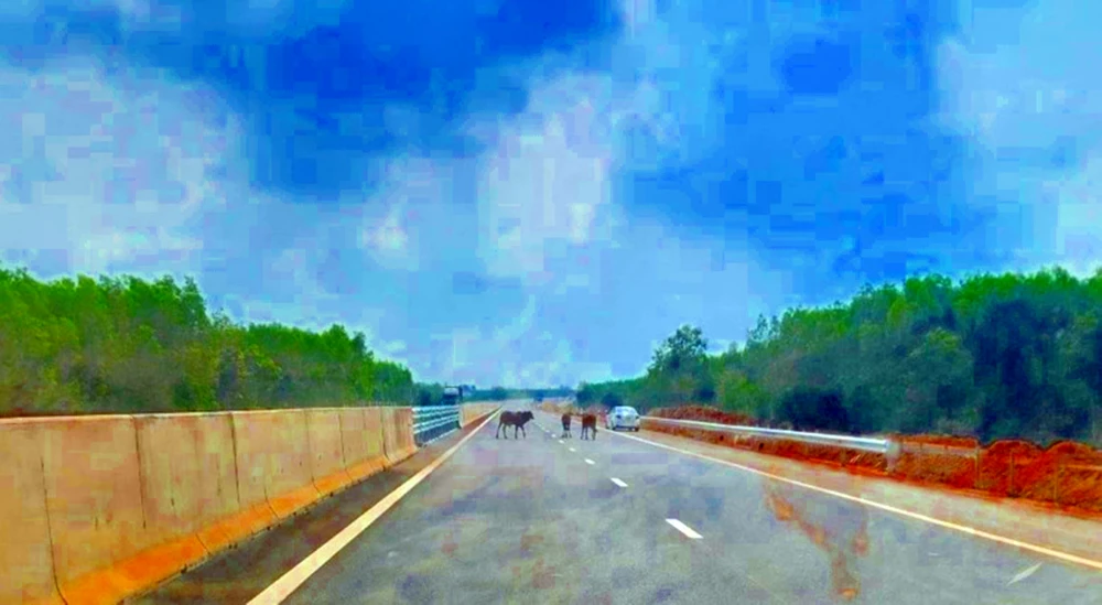 cao-toc-vinh-hao-phan-thiet (1).jpg