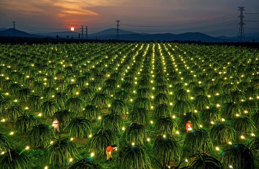 tinh-binh-thuan (4).png