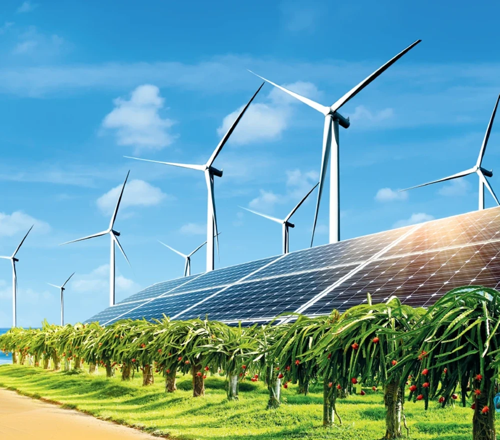 tinh-binh-thuan (5).png