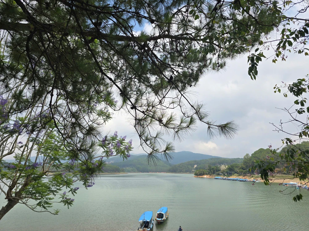 tinh-lam-dong (3).jpg