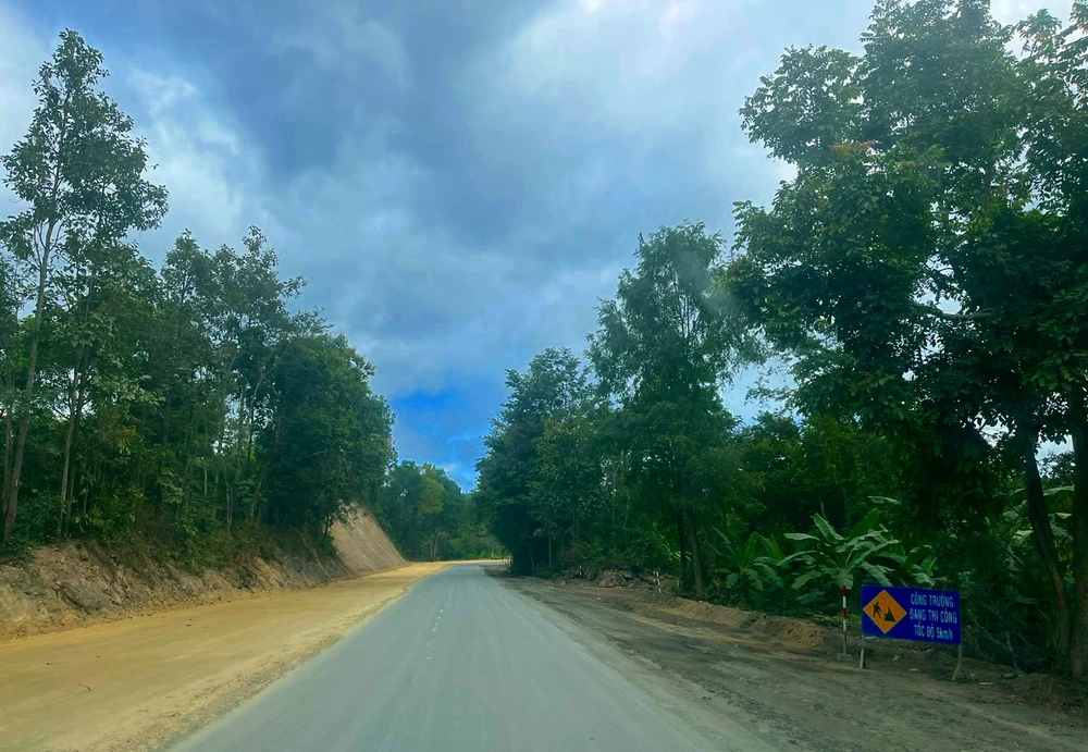 cuc-duong-bo (3).jpg