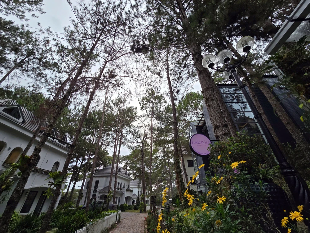 so-tai-chinh (2).jpg