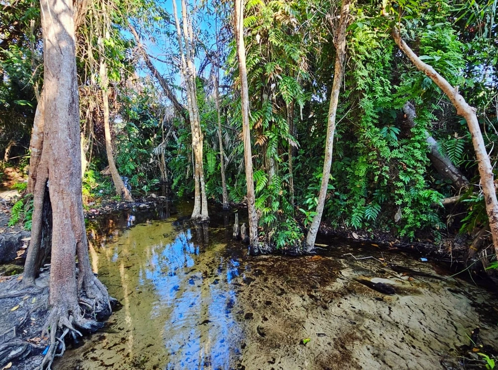 suoi-nuoc-nong-bung-thi (3).jpg