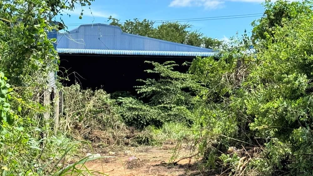 nguoi-dan-ong (3).jpg