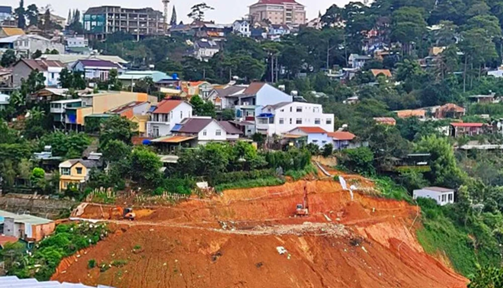 thung lũng hoa Đà Lạt