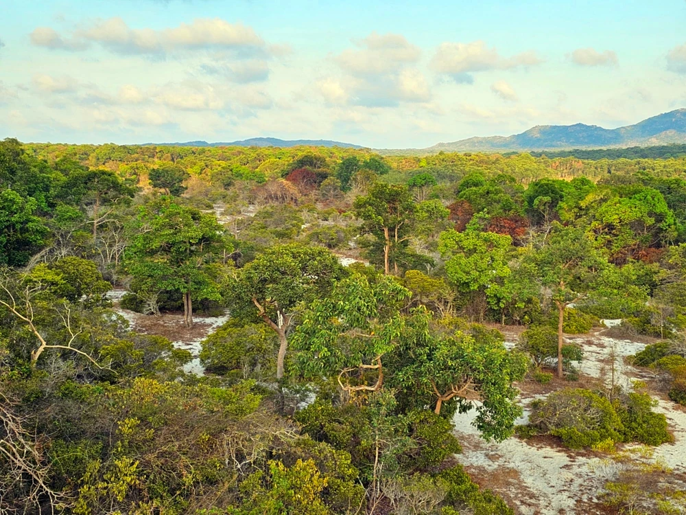 tinh-lam-dong (1).jpg