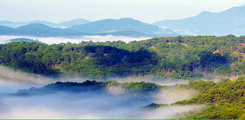 khu-du-tru-sinh-quyen-the-gioi (1).jpg